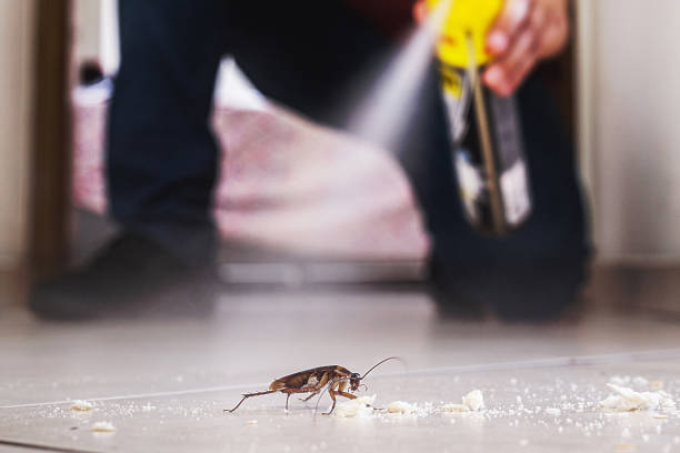Best Pest Control Treatment  in Fredericktown, OH