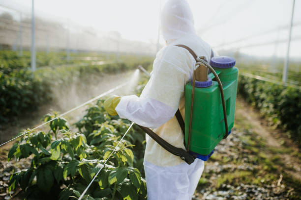 Best Cockroach Control Services  in Fredericktown, OH